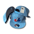 Montreal Expos Light Blue with Classic Logo Snapback Cap